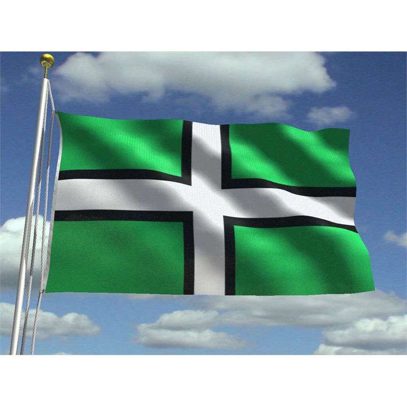 Devon Flag 30 x 45cm-1